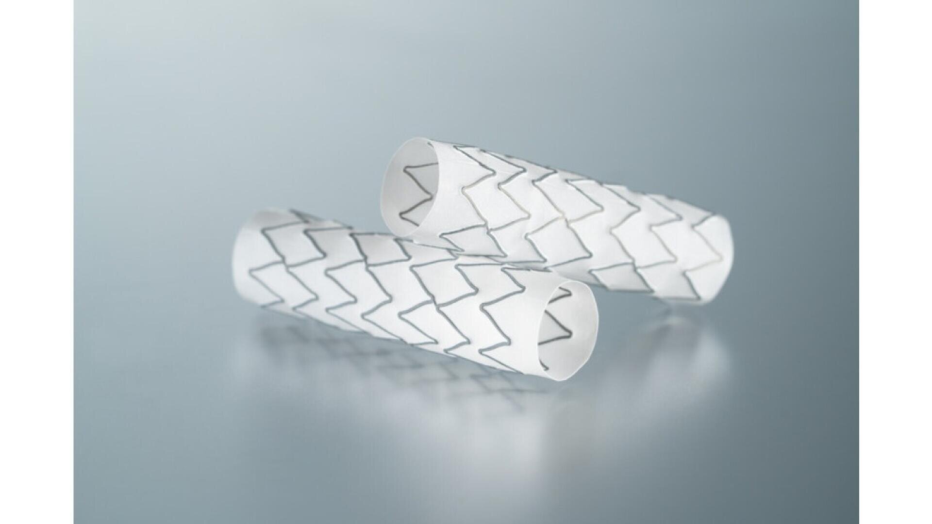 Two cylindrical medical stents with a zigzag metal pattern on a white surface, positioned parallel to each other against a light blue-gray background.