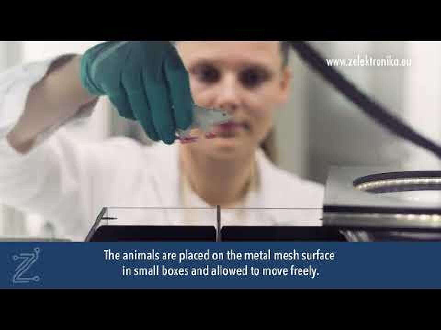 A scientist with blue-green gloves places something on a metal grid in a laboratory. The text reads: "The animals are placed in small boxes on the metal grid and can move freely.
