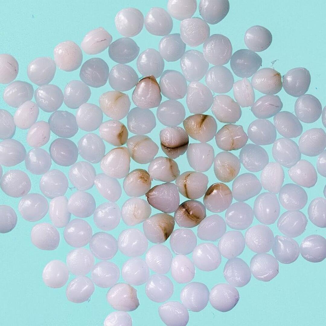 A cluster of small, round, white pearls or beads scattered on a light blue background; some pearls have brownish discoloration.