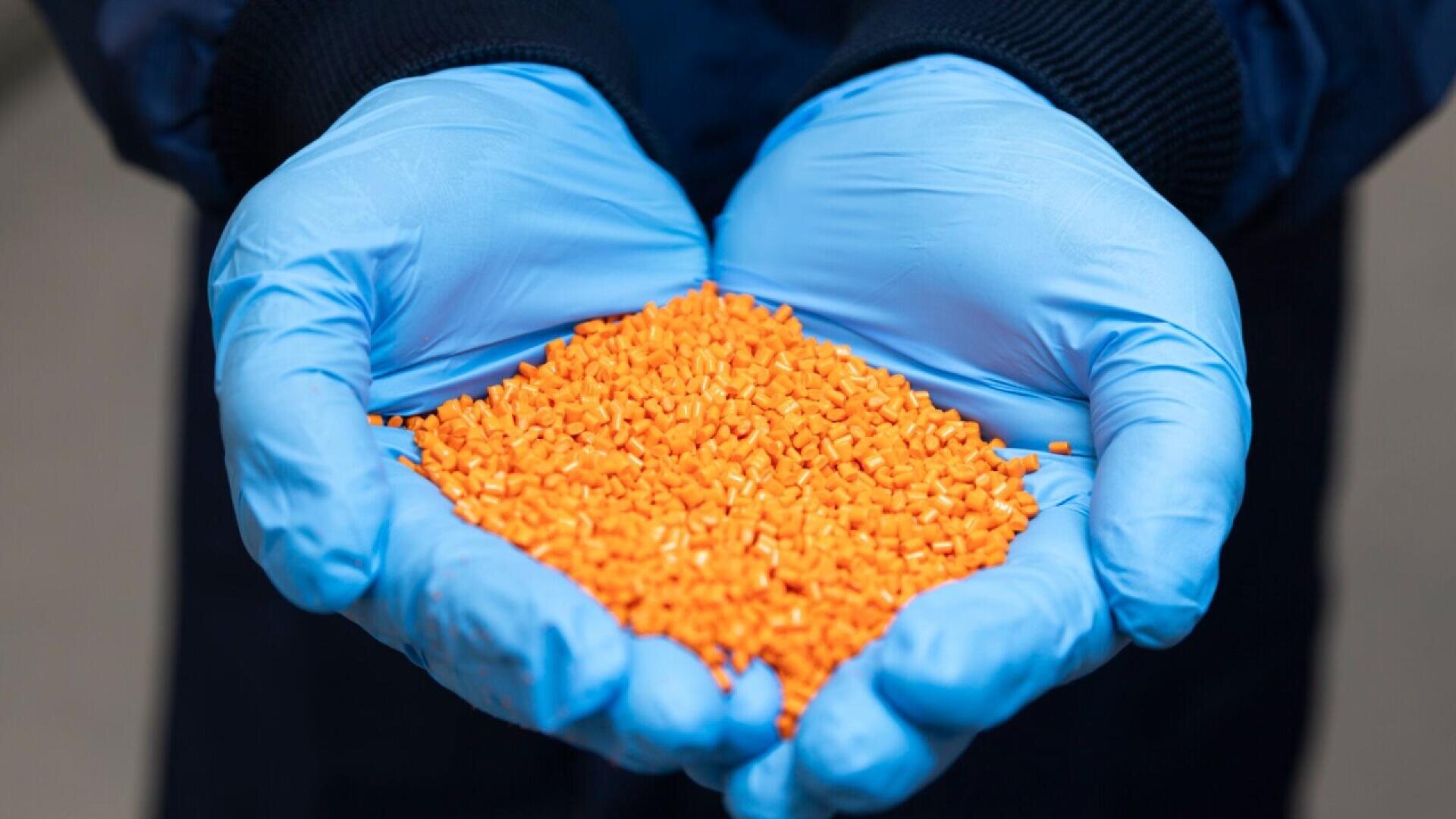 Eine Person mit blauen Handschuhen hält eine große Handvoll kleiner, leuchtend orangefarbener Körnchen oder Pellets.