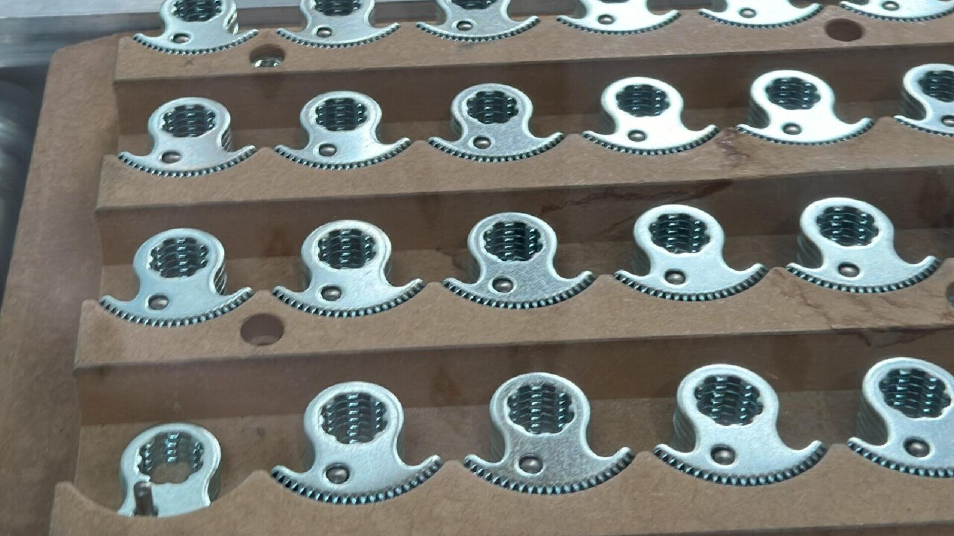 Rows of small, silver metal fasteners with threaded holes are neatly arranged in a cardboard tray, viewed from above through a clear protective cover.