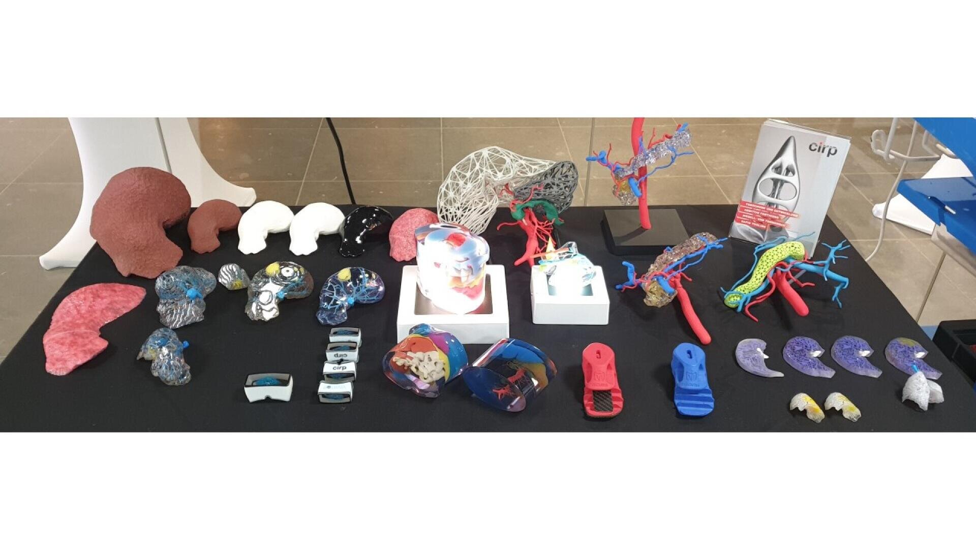 A display table with colorful 3D-printed anatomical models, including organs, heads, and medical structures, arranged neatly on a black tablecloth. A CIRP informational stand is also visible.