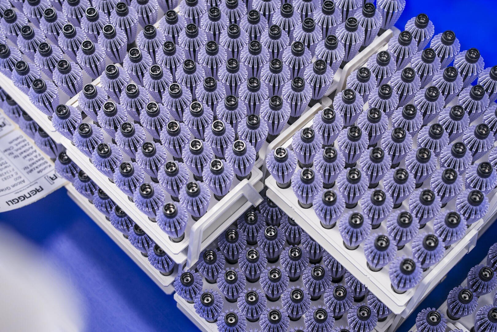 Reihen kleiner Fläschchen mit schwarzen Deckeln, ordentlich in weißen Schalen auf einer blauen Oberfläche angeordnet, von oben betrachtet, was auf eine medizinische oder Laborverwendung hindeutet.