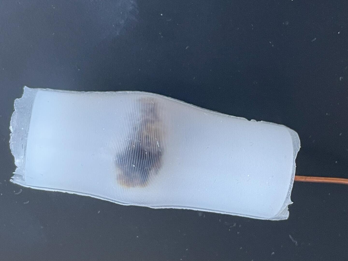 Ein weißer Marshmallow ist auf einen Metallstab aufgespießt und zeigt auf einer Seite einen verkohlten Fleck vor einem dunklen Hintergrund.