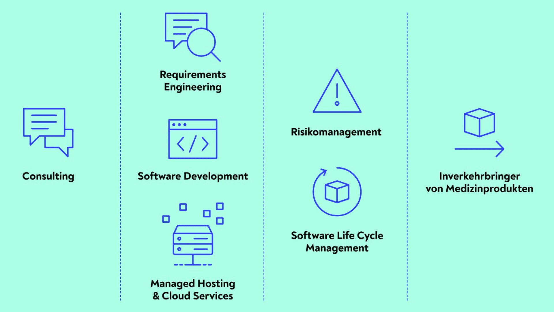 Eine hellblaue Infografik zeigt sechs Leistungsbereiche: Consulting, Requirements Engineering, Softwareentwicklung, Managed Hosting & Cloud Services, Risk Management, Software Life Cycle Management und Inverkehrbringer von Medizinprodukten.