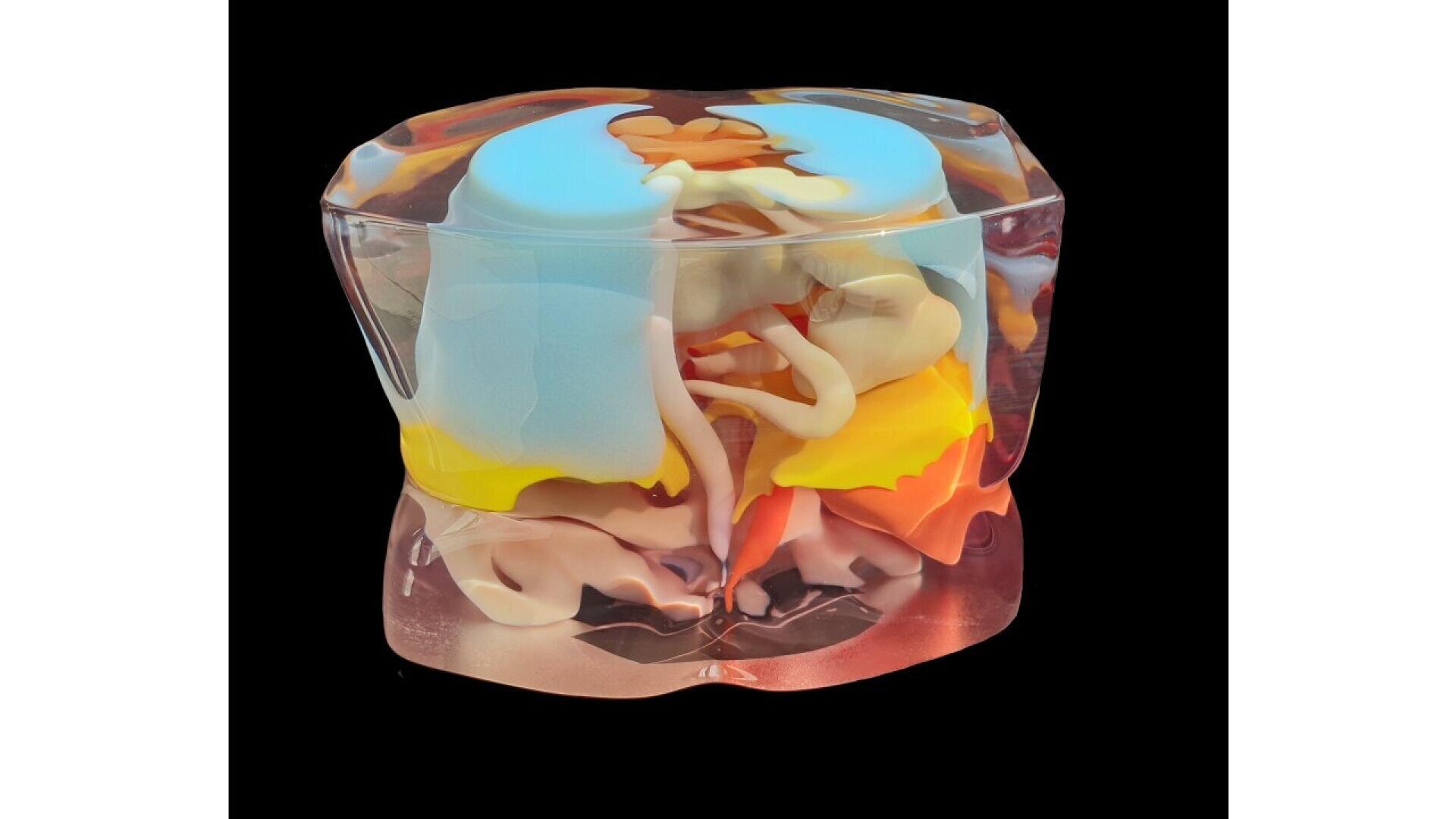 A transparent anatomical model displays internal human organs, including the brain, lungs, intestines, and stomach, in various colors against a black background.
