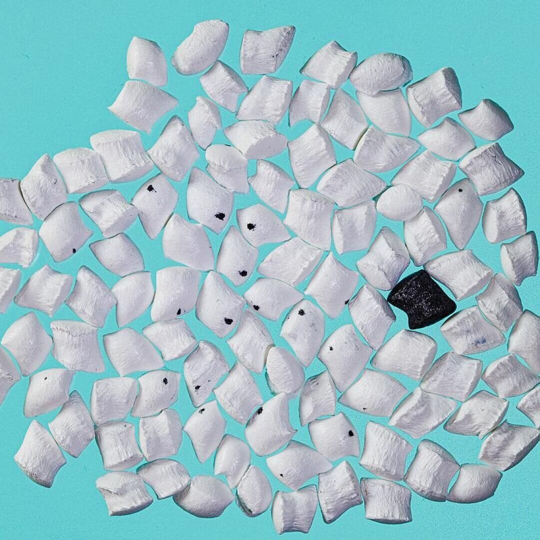 Several white coconut pieces are scattered on a turquoise background, including a dark piece.