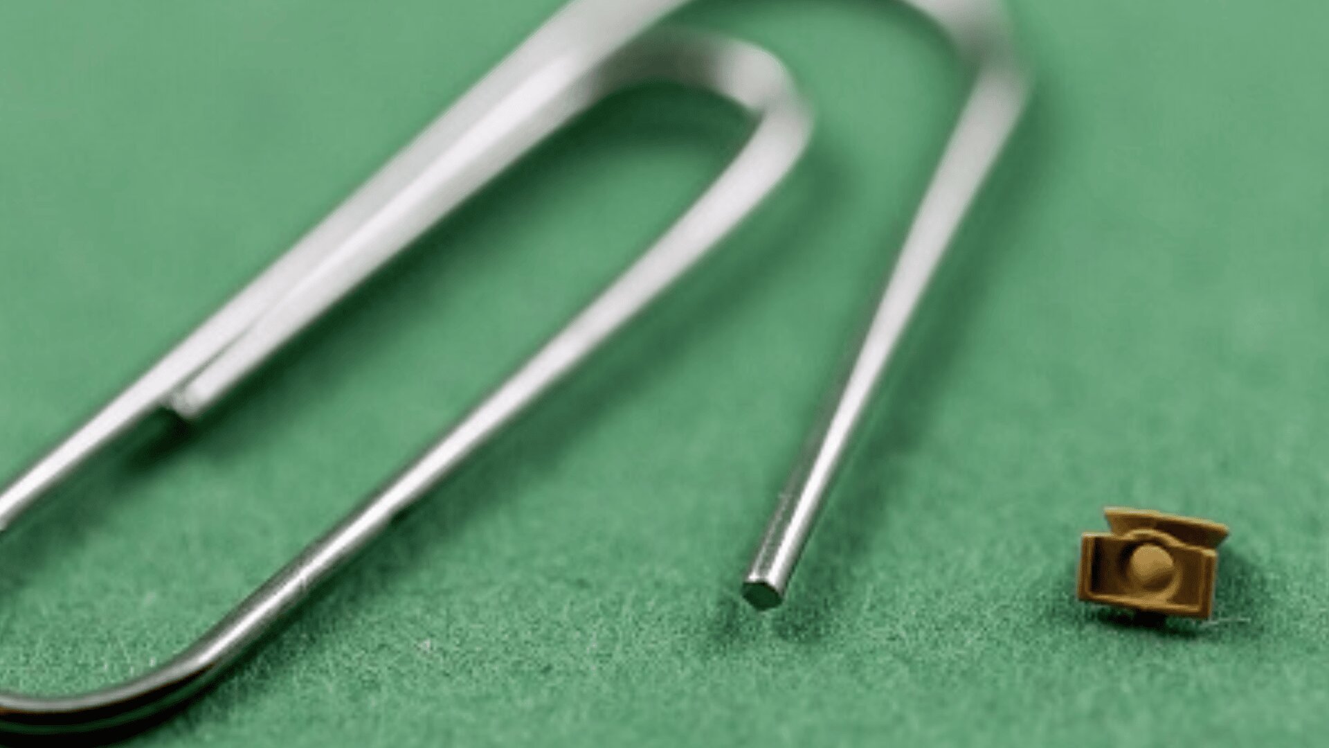 Eine Nahaufnahme eines winzigen braunen Objekts mit runder Mitte neben einer Büroklammer aus Metall auf einer grünen Oberfläche, die die geringe Größe des Objekts hervorhebt.