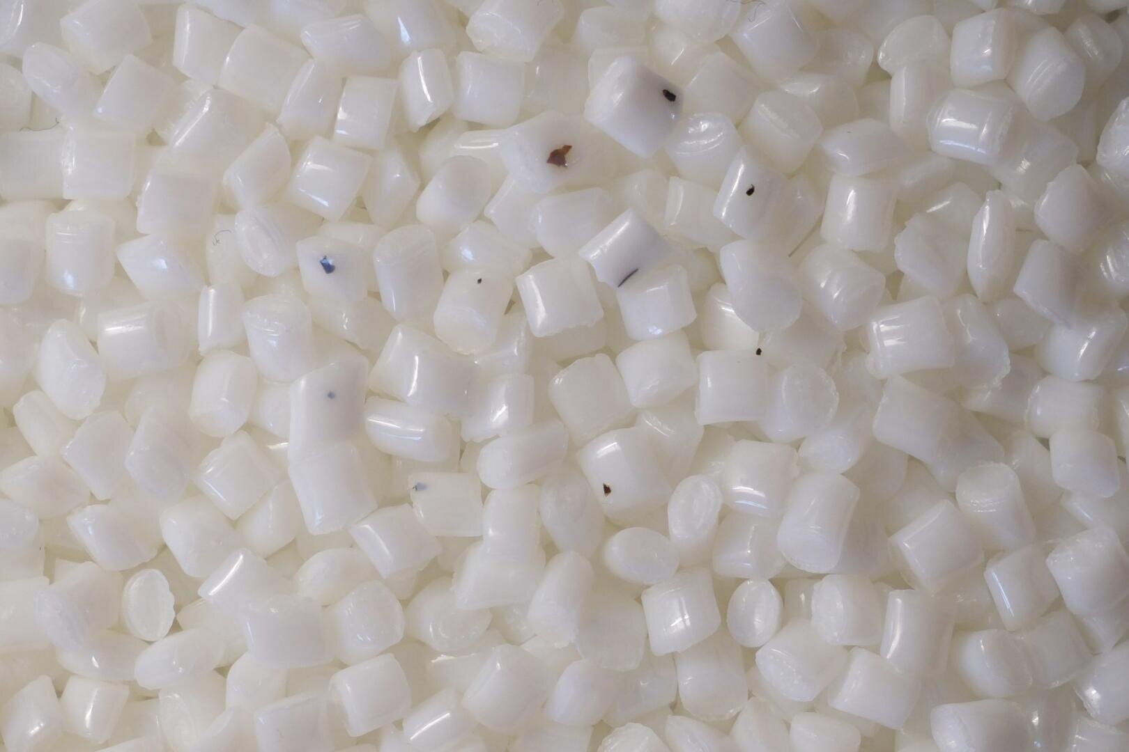 Close-up of numerous small, white plastic pellets with a few dark specks scattered among them. The pellets are cylindrical and slightly translucent.