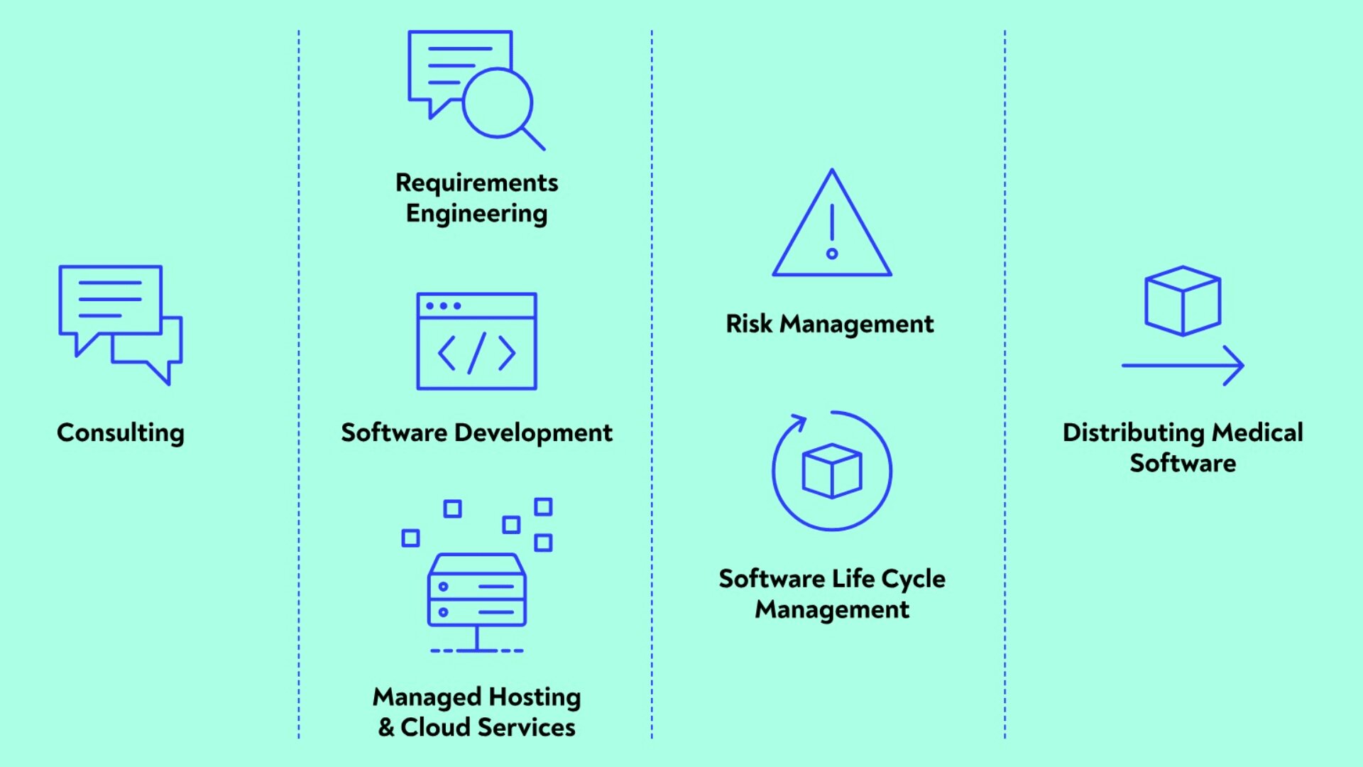A teal background with six icons and text: Consulting, Requirements Engineering, Software Development, Managed Hosting & Cloud Services, Risk Management, Software Life Cycle Management, and Distributing Medical Software.