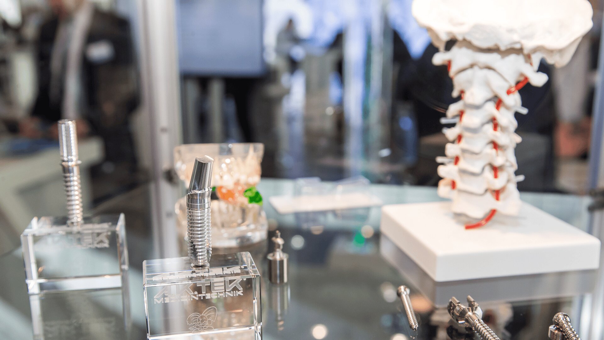 Nahaufnahme medizinischer Implantate auf einer Glasoberfläche, im Hintergrund ein detailliertes anatomisches Modell einer menschlichen Wirbelsäule. Der Fokus liegt auf den Metallimplantaten, die wahrscheinlich in der Wirbelsäulenchirurgie eingesetzt werden.