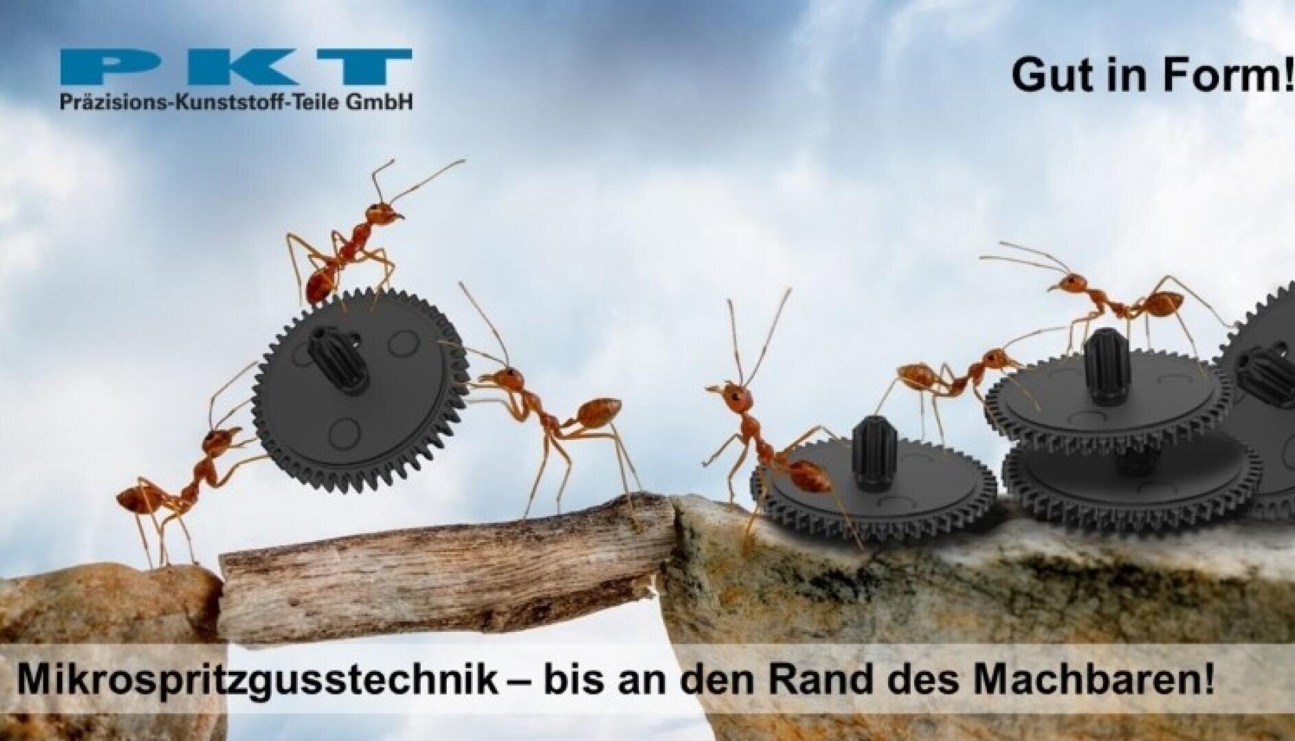Several ants work together to move black plastic gears across a gap between two rocks. The picture contains German text and the logo of a precision plastic parts company. The background is a cloudy sky.