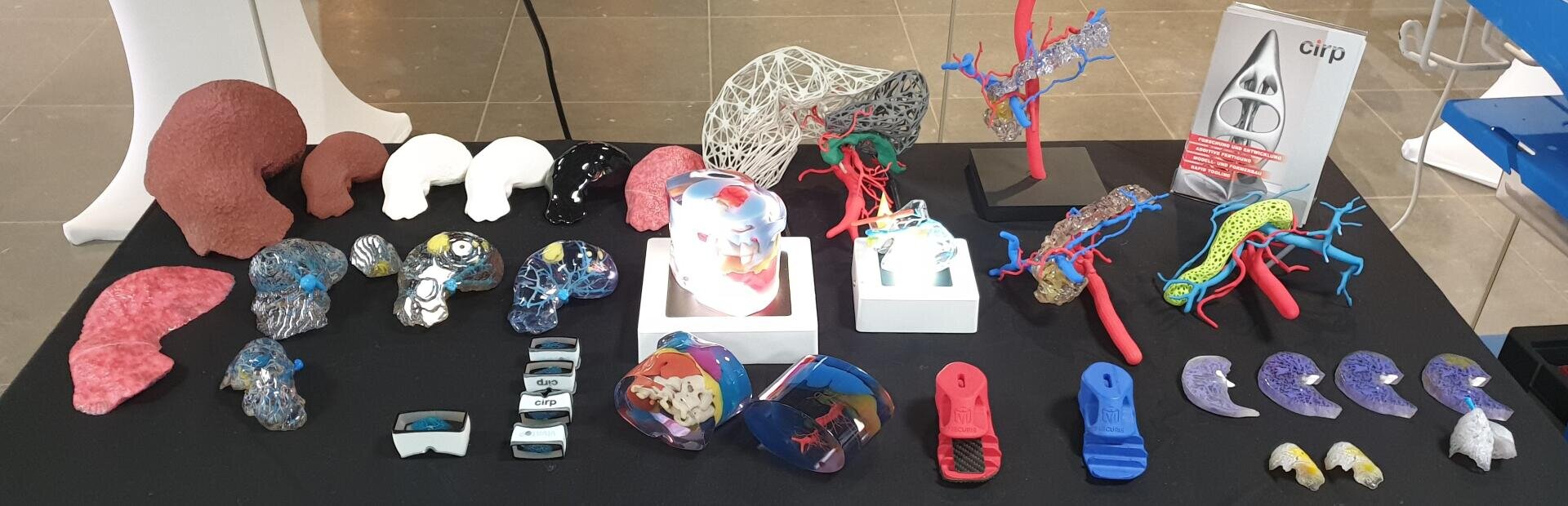 Auf einem Tisch sind bunte, 3D-gedruckte anatomische Modelle, darunter Organe, Schädel und Blutgefäße, in Reihen angeordnet. Auf der schwarzen Tischdecke liegen außerdem mehrere kleine weiße Kästen und Informationsmaterialien.