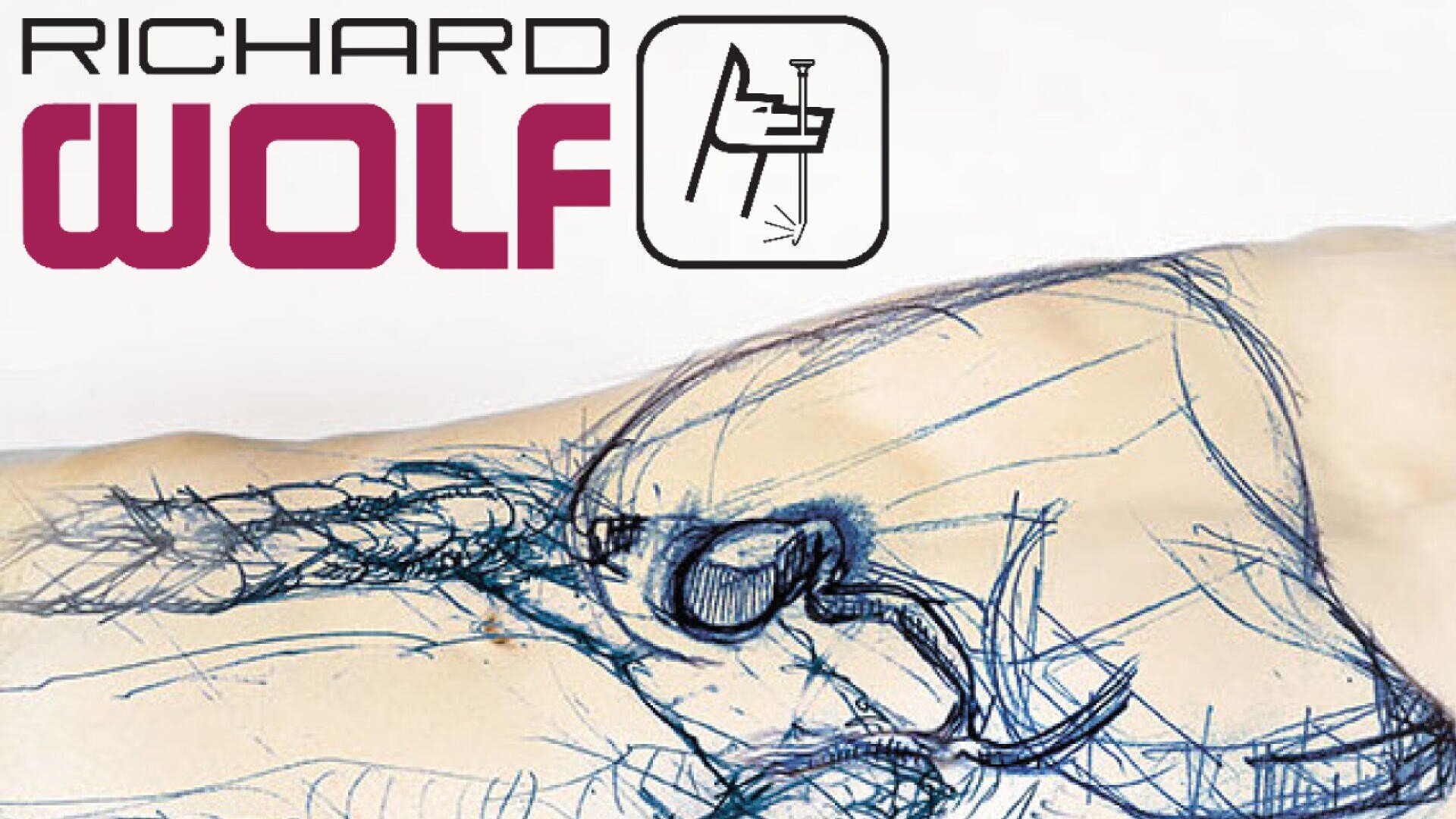 Eine medizinische Illustration, die ein Diagramm der Beckenanatomie zeigt, das über einen Körper gelegt ist, mit dem RICHARD WOLF-Logo und einem Symbol einer Person auf einem Stuhl, die medizinische Geräte benutzt, in der oberen linken Ecke.