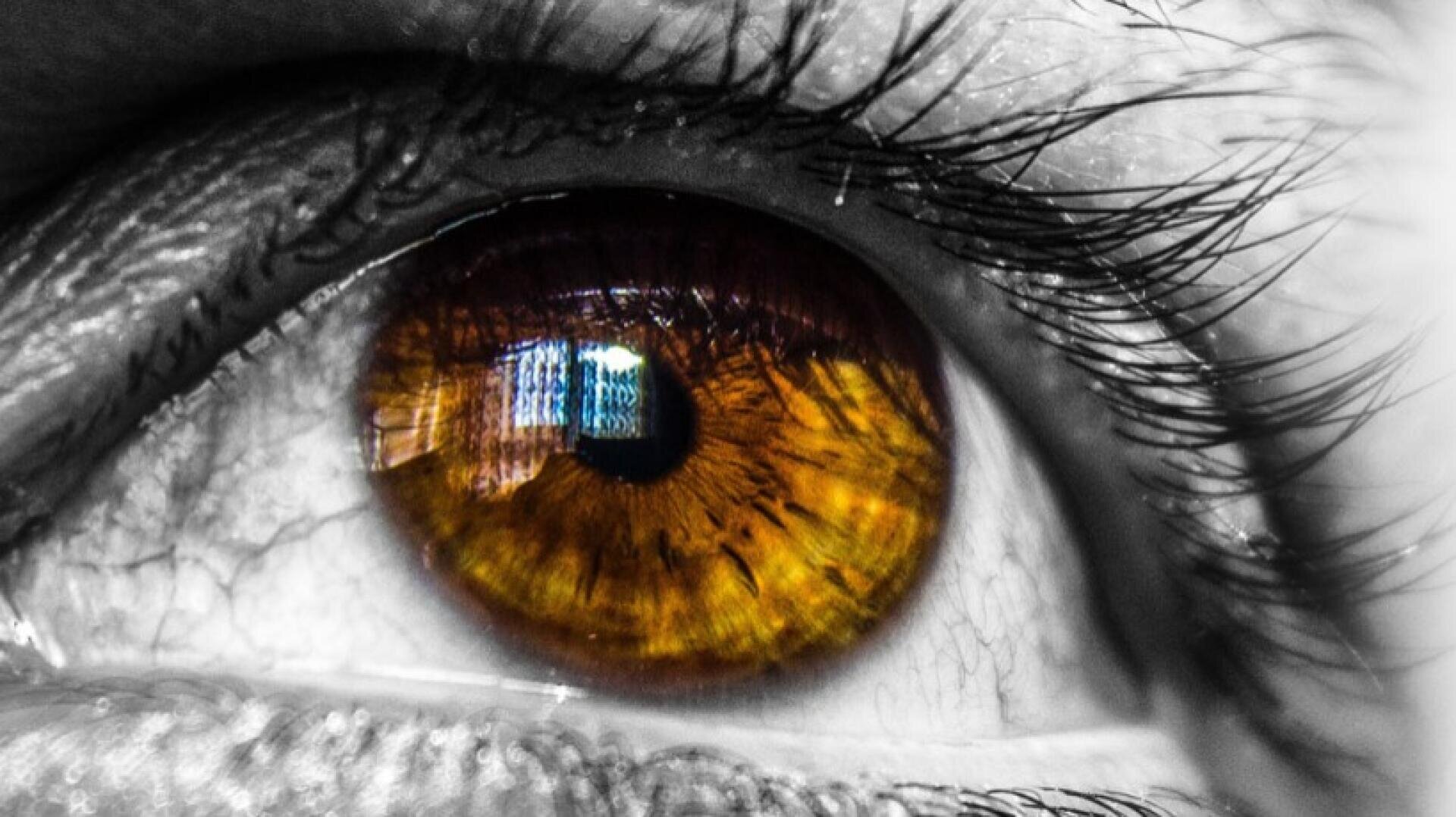 Close-up of a brown eye with detailed iris patterns and long eyelashes; a blue and white window or screen reflection can be seen in the pupil.