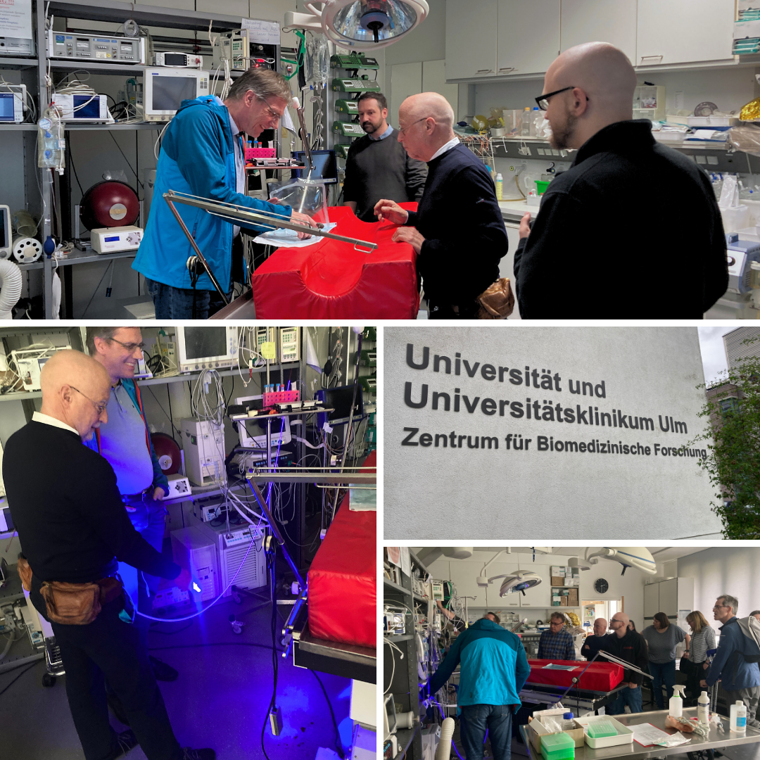 Eine Collage zeigt Menschen in einem medizinischen Forschungslabor, die mit medizinischen Geräten und Simulatoren hantieren. Ein Bild enthält das Schild der Universität und des Universitätsklinikums Ulm, Zentrum für Biomedizinische Forschung.