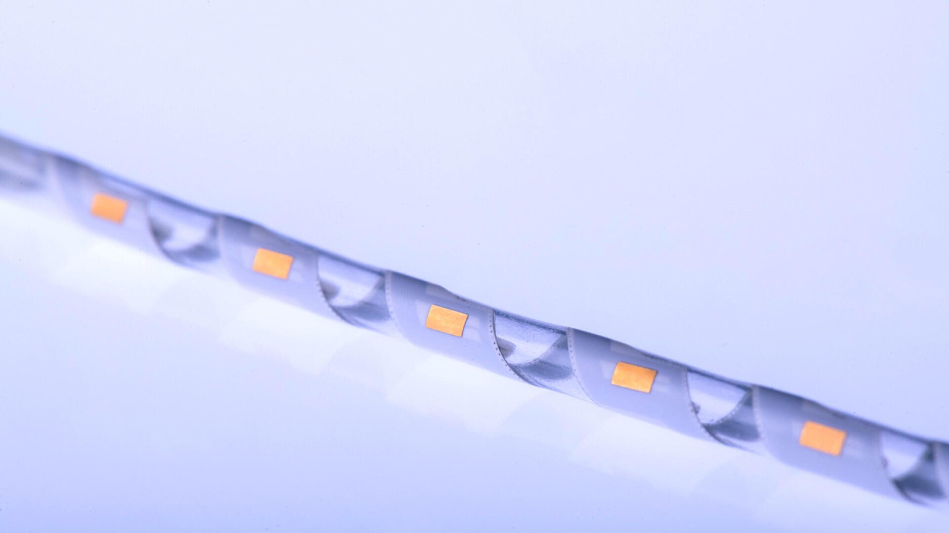 Close-up of a flexible LED strip light with individual yellow-orange LED chips embedded in a white strip against a light purple background.