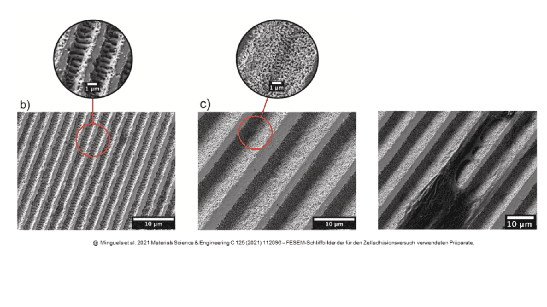Three black-and-white microscope images show surface patterns with magnified insets. Each image displays parallel grooves with different textures. Red circles highlight the areas magnified in the insets, revealing fine structural details.