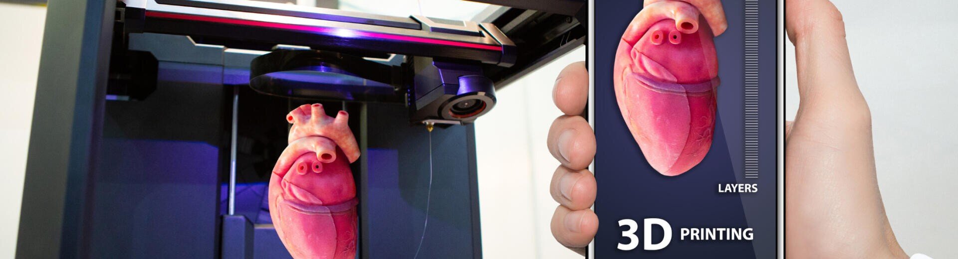A hand holds a smartphone on which a 3D print graphic is displayed, next to a 3D printer that creates a realistic model of a human heart.