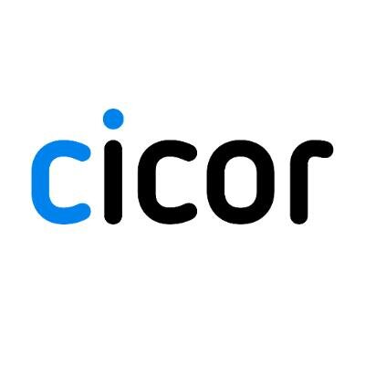 Logo Cicor Group