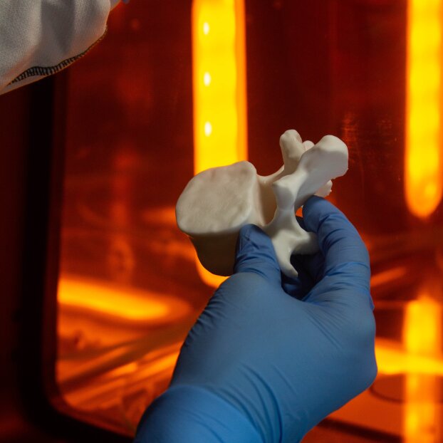 Eine Person mit blauen Handschuhen hält ein weißes 3D-gedrucktes Modell eines Wirbels vor einem orange beleuchteten Hintergrund, möglicherweise in einem wissenschaftlichen oder medizinischen Labor.